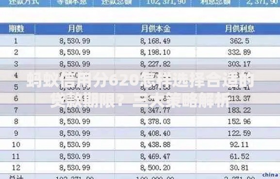 蚂蚁信用分620怎样选择合适的贷款期限？三大策略解析