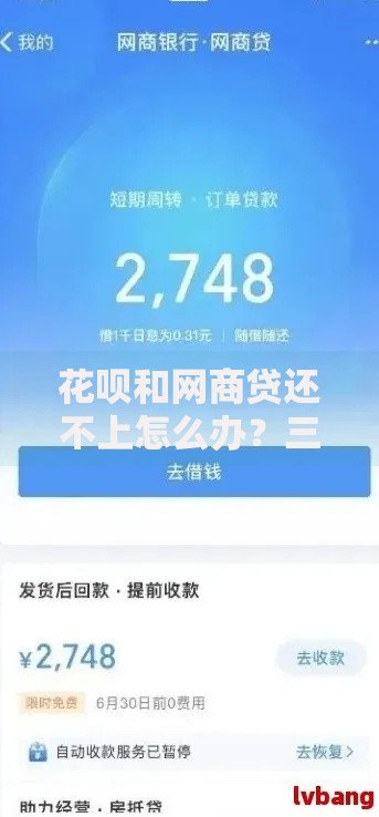 花呗和网商贷还不上怎么办？三大应对策略与解决方案