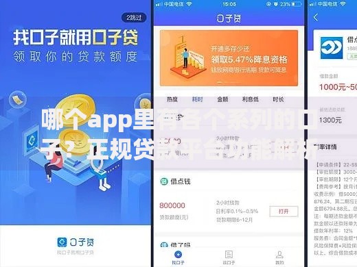 哪个app里有各个系列的口子？正规贷款平台功能解析