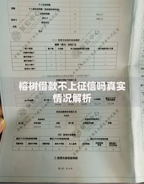 榕树借款不上征信吗真实情况解析