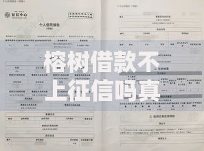 榕树借款不上征信吗真实情况解析