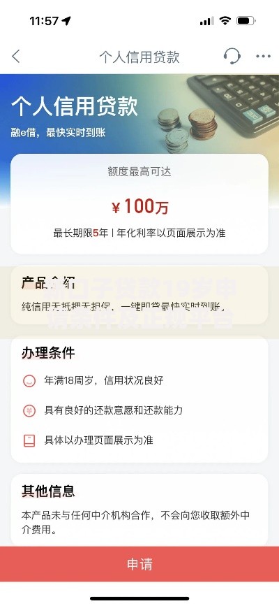 新口子贷款19岁申请条件及正规平台推荐