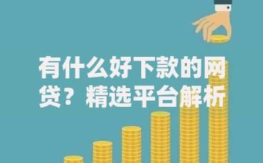 有什么好下款的网贷？精选平台解析与申请技巧