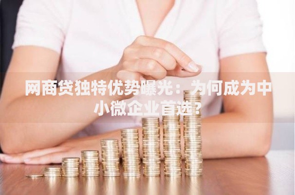 网商贷独特优势曝光：为何成为中小微企业首选？