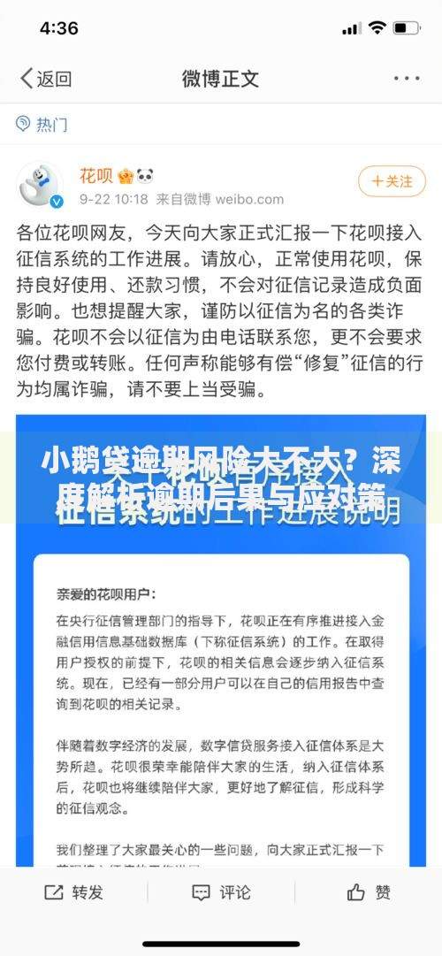 小鹅贷逾期风险大不大？深度解析逾期后果与应对策略