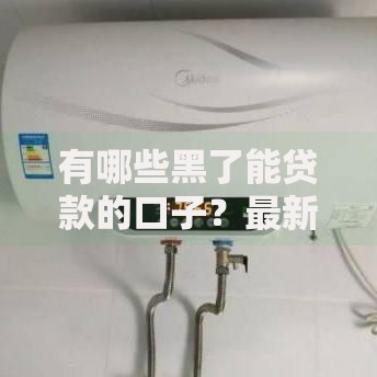 有哪些黑了能贷款的口子？最新渠道解析与风险评估