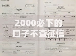 2000必下的口子不查征信：小额借款如何避开征信审查？
