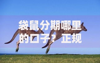 袋鼠分期哪里的口子?正规平台推荐及申请条件解析 袋鼠分期哪里的口子?正规平台推荐及申请条件解析