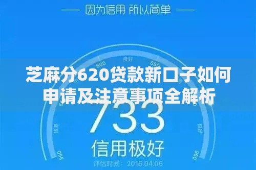芝麻分620贷款新口子如何申请及注意事项全解析