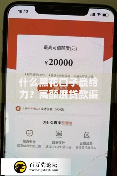 什么黑花口子最给力？高额度贷款渠道深度解析