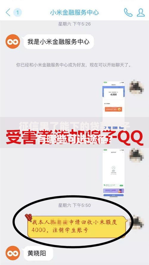 征信黑了能下的贷款口子有哪些可选途径？