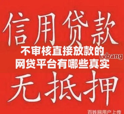 不审核直接放款的网贷平台有哪些真实选择？