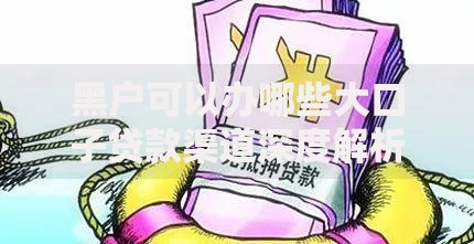 黑户可以办哪些大口子贷款渠道深度解析