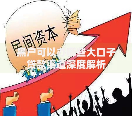 黑户可以办哪些大口子贷款渠道深度解析