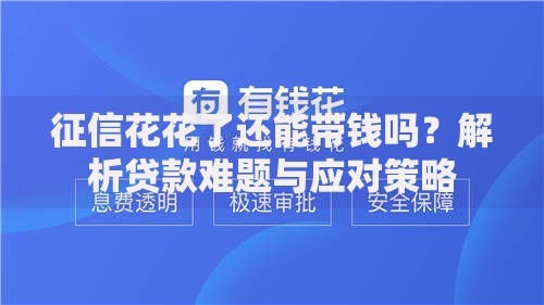 征信花花了还能带钱吗？解析贷款难题与应对策略