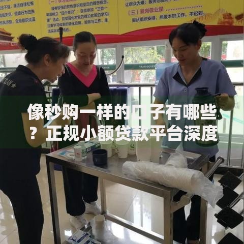 像秒购一样的口子有哪些？正规小额贷款平台深度解析