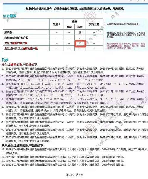 征信记录花了影响入党吗-贷款信用与政审关联解析