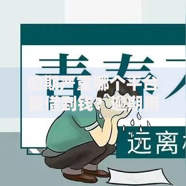 逾期严重哪个平台能借到钱？逾期用户借贷指南