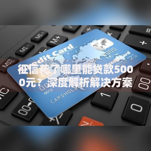 征信花了哪里能贷款5000元？深度解析解决方案
