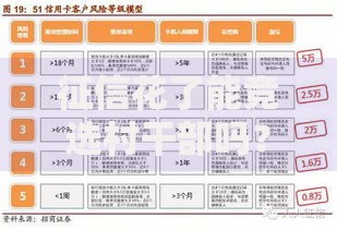 征信花了能竞选村干部吗？竞选资格与信用关系解析