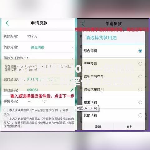 农行网捷贷20万一年利息多少呢？利率计算与还款方案详解