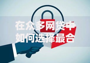 在众多网贷中如何选择最合适的贷款方案？