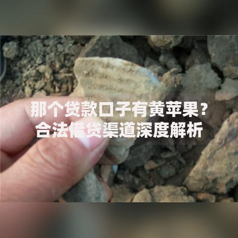 那个贷款口子有黄苹果？合法借贷渠道深度解析