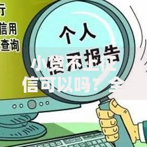 小贷不上征信可以吗？全面解析贷款影响与风险