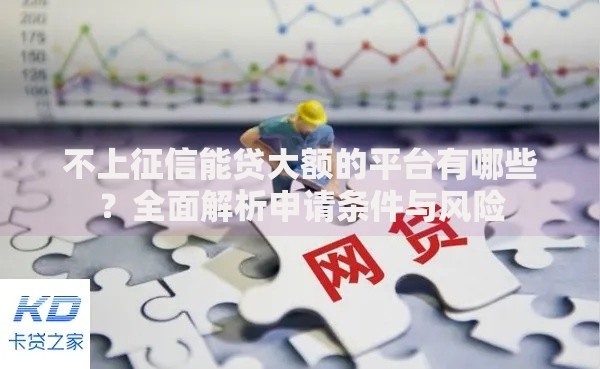 不上征信能贷大额的平台有哪些？全面解析申请条件与风险