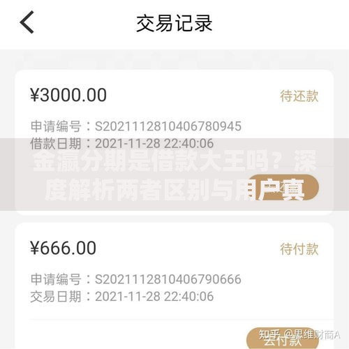金瀛分期是借款大王吗？深度解析两者区别与用户真实反馈