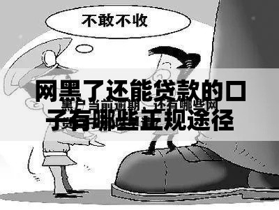 网黑了还能贷款的口子有哪些正规途径可申请