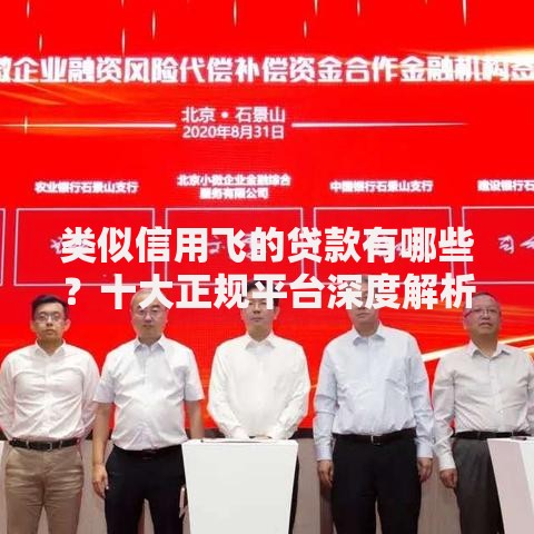 类似信用飞的贷款有哪些？十大正规平台深度解析