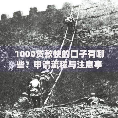1000贷款快的口子有哪些？申请流程与注意事项全解析