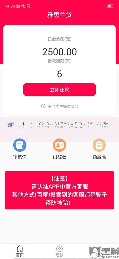 白猫贷还能下款吗？最新审核条件与风险解析