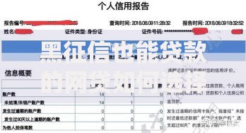 黑征信也能贷款的网贷如何选择安全平台