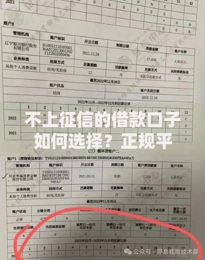 不上征信的借款口子如何选择？正规平台与风险解析