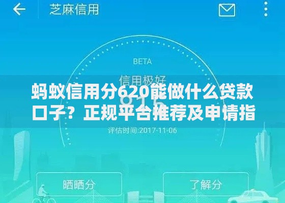 蚂蚁信用分620能做什么贷款口子？正规平台推荐及申请指南