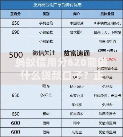 蚂蚁信用分620能做什么贷款口子？正规平台推荐及申请指南