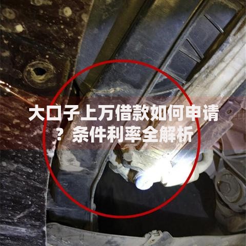 大口子上万借款如何申请？条件利率全解析