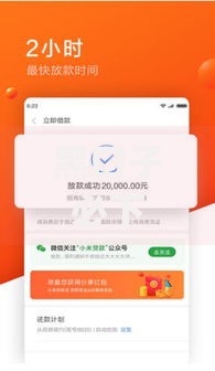 黑口子必下款app2025有哪些5个黑户口子秒下款的口子解析