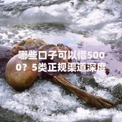 哪些口子可以借5000？5类正规渠道深度解析