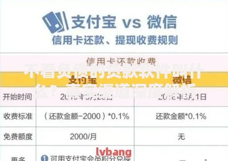 不看负债的贷款软件叫什么？真实渠道深度解析