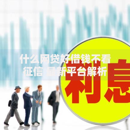 什么网贷好借钱不看征信 最新平台解析 什么网贷好借钱不看征信 最新平台解析