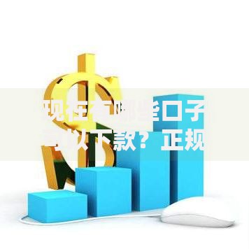 现在有哪些口子可以下款？正规渠道深度解析