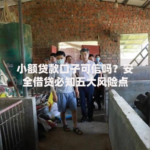 小额贷款口子可信吗？安全借贷必知五大风险点
