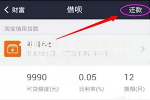 花呗借钱不上征信是真的吗？深度解析使用风险