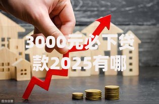 3000元必下贷款2025有哪些条件？最新政策解析