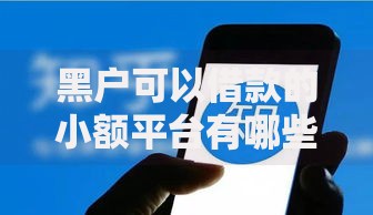 黑户可以借款的小额平台有哪些正规选择