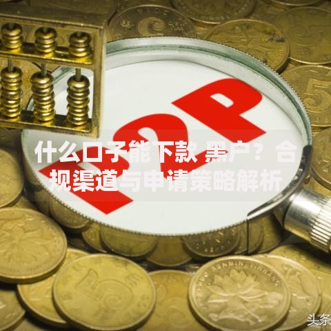 什么口子能下款 黑户？合规渠道与申请策略解析