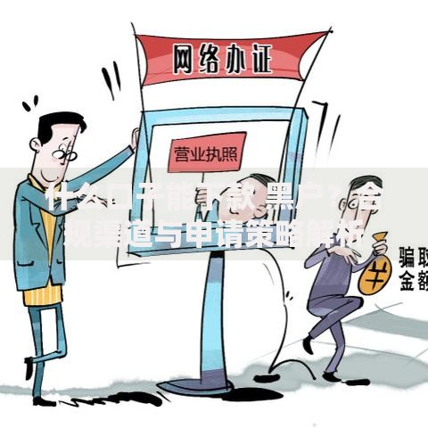 什么口子能下款 黑户？合规渠道与申请策略解析